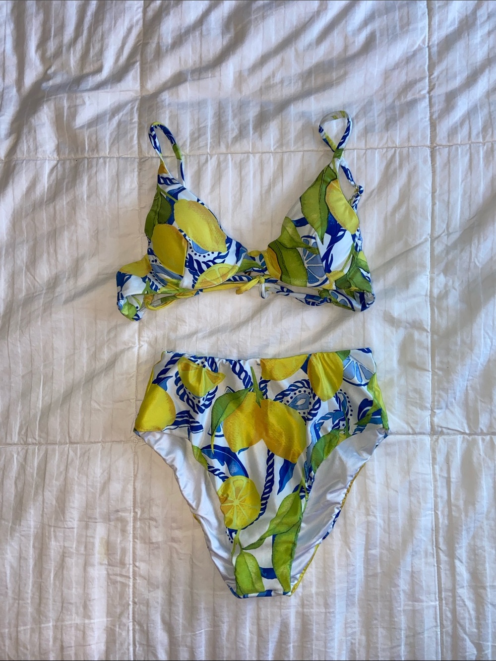 Kenny Flowers Lemon Print Bikini Top and Bottom in Yellow, Blue, Green